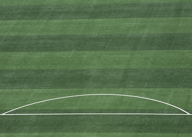 夫这项运动 夫这项运动