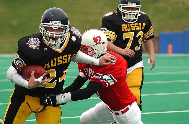 界的地位 界的地位