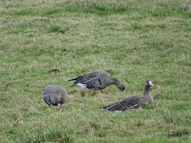 BA的第一 BA的第一