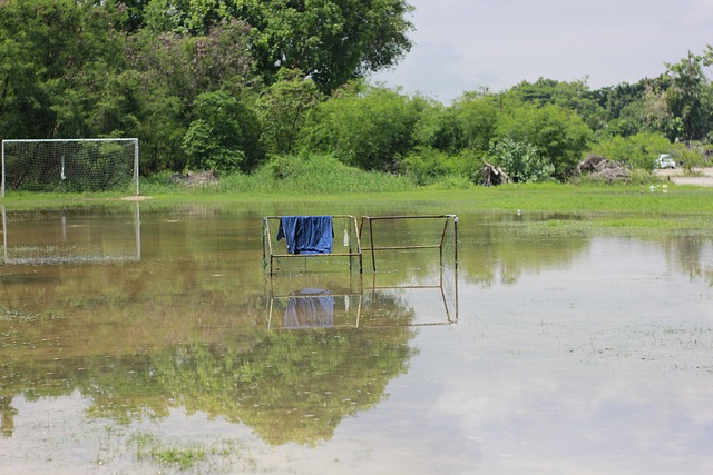 再次彰显了 再次彰显了
