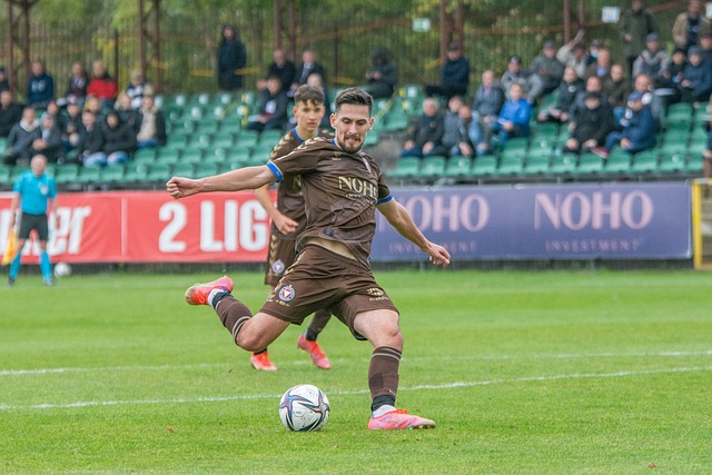 支旗鼓相当 支旗鼓相当