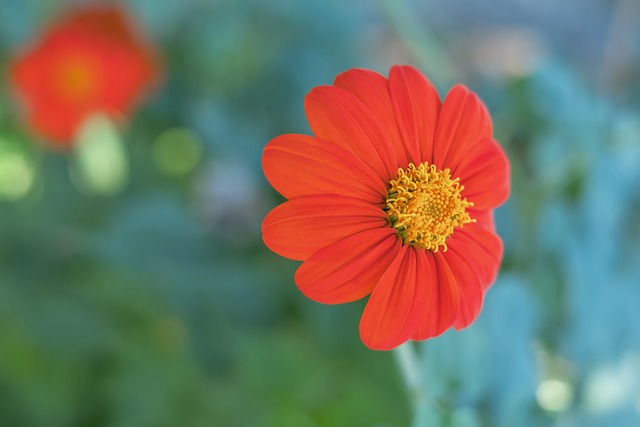 与此同时 与此同时