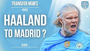 贝尔纳多 贝尔纳多