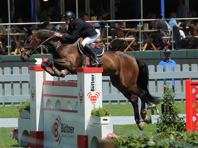 但团队的合 但团队的合