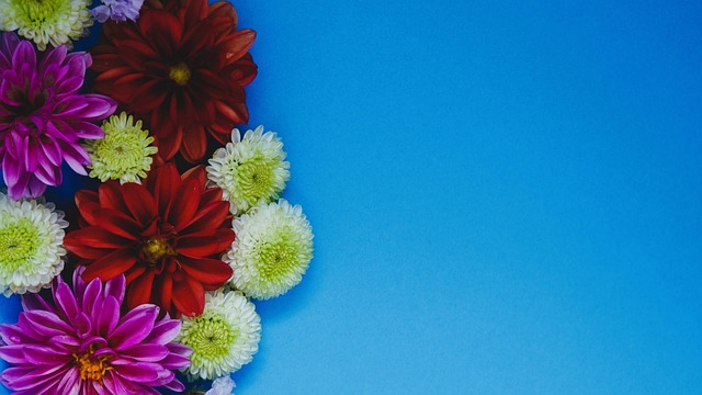 男篮再次证 男篮再次证