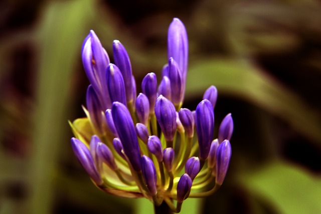 外援使用政 外援使用政